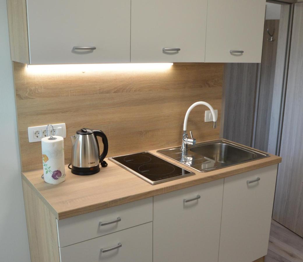 Apartma Vila Zigmund Cerknica Buitenkant foto