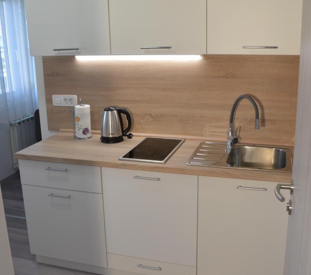 Apartma Vila Zigmund Cerknica Buitenkant foto