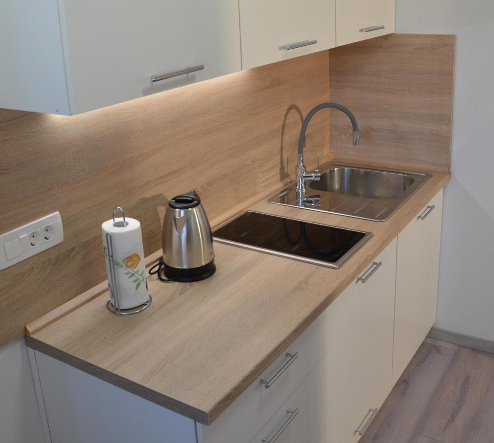 Apartma Vila Zigmund Cerknica Buitenkant foto